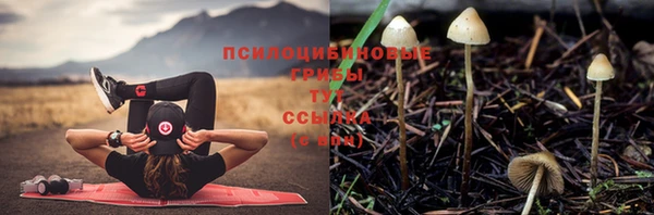 PSILOCYBIN Балахна